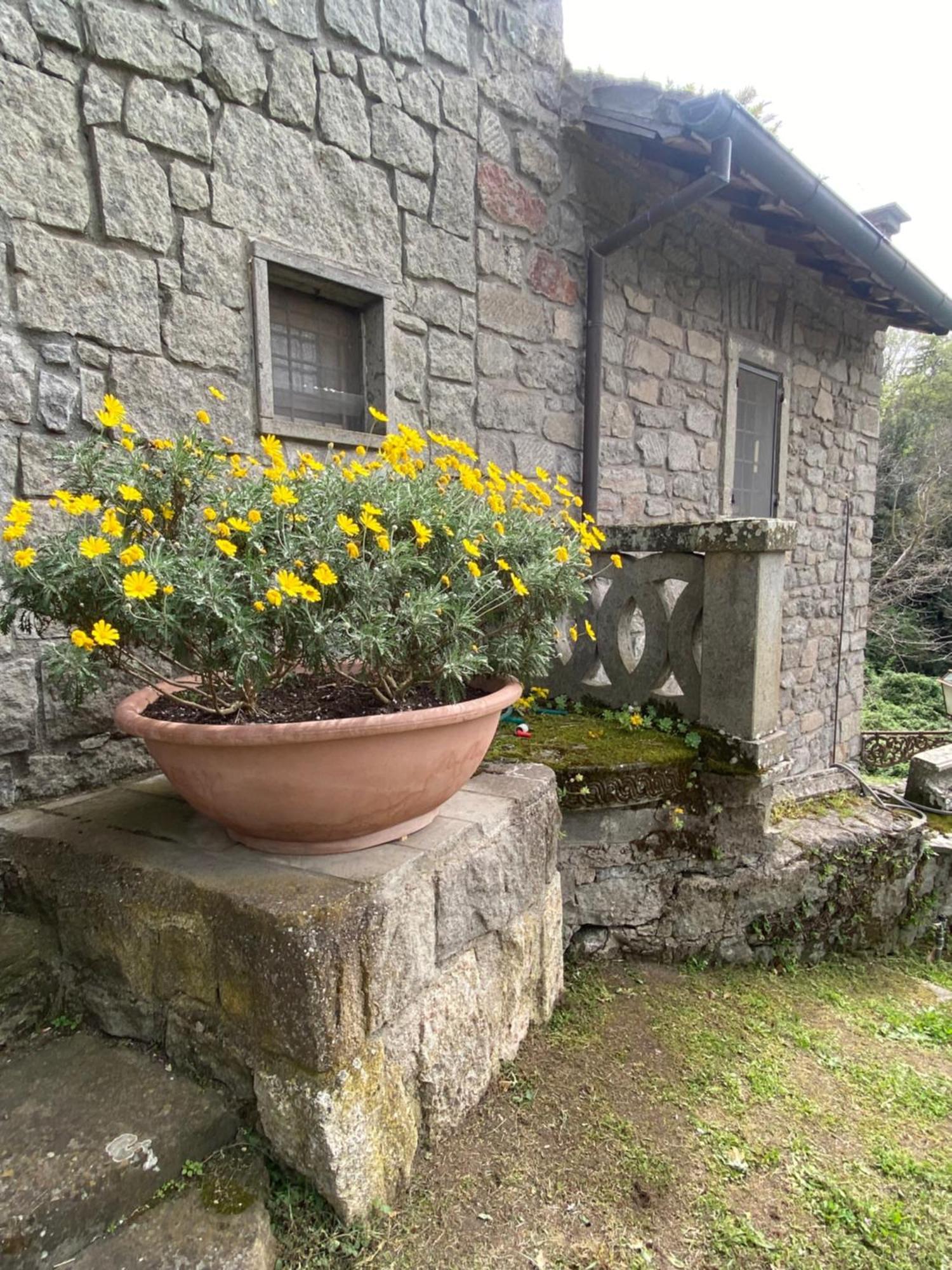 ヴィテルボ Il Castelletto Della Palanzanaヴィラ エクステリア 写真